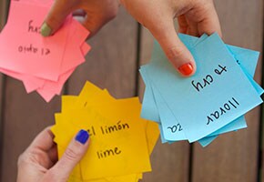 Peer study ideas: Learning a foreign language