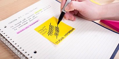 Learning about cell structures - sketch and stick